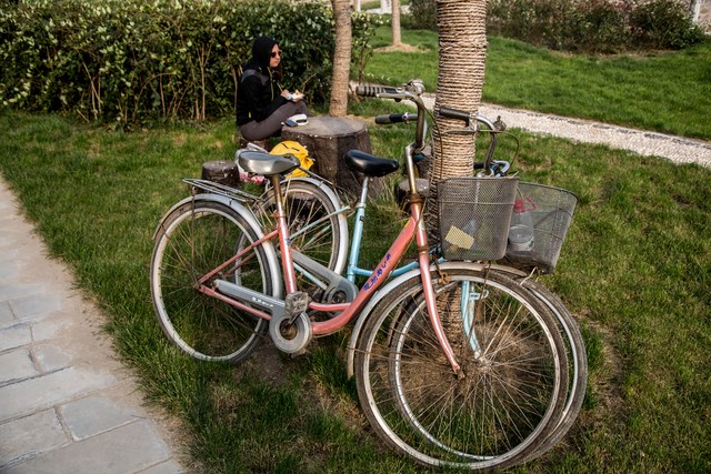 QG8A4376 (Kopiowanie)