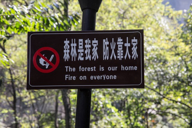 QG8A4670 (Kopiowanie)