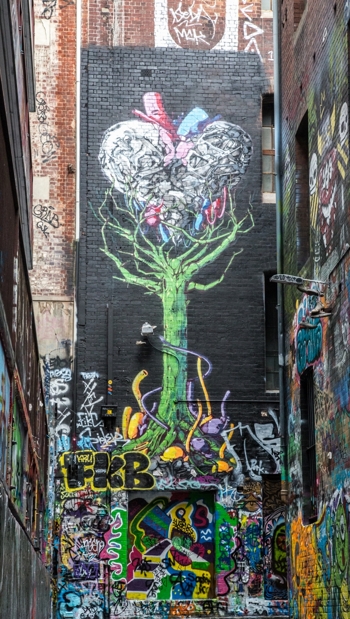 Melbourne-5855 [720b] [720b]