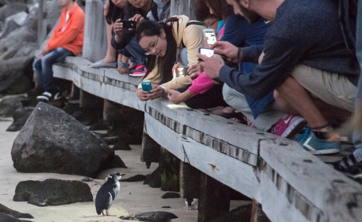 Melbourne-5948 [720b]