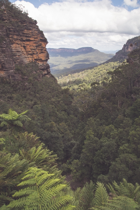 New South Wales-6553 (Kopiowanie)