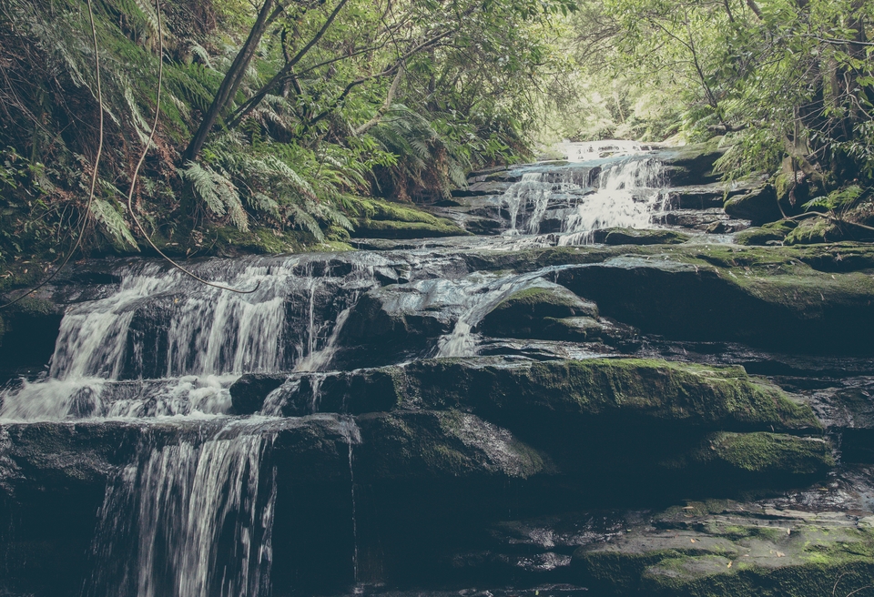 New South Wales-6563 (Kopiowanie)