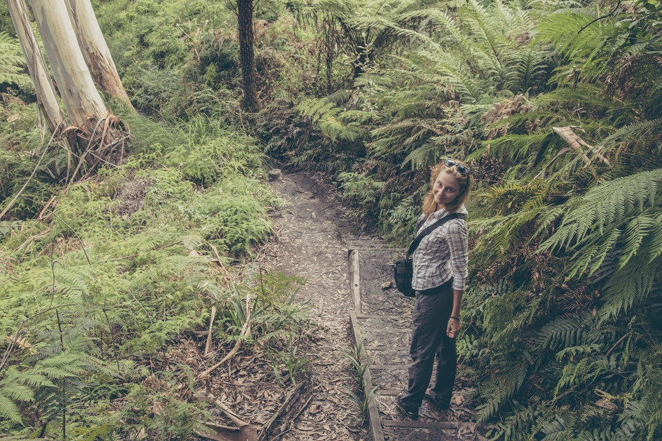 New South Wales-6593 (Kopiowanie)