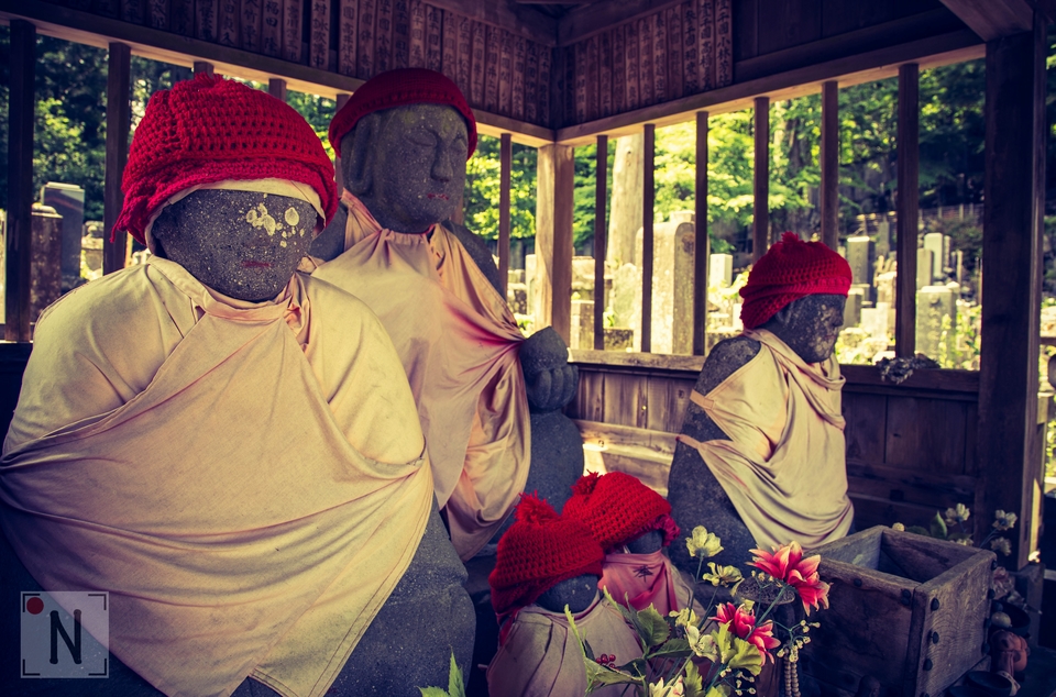 Nikko-1619 (Kopiowanie)