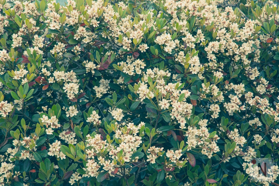 QG8A0389 (Kopiowanie)