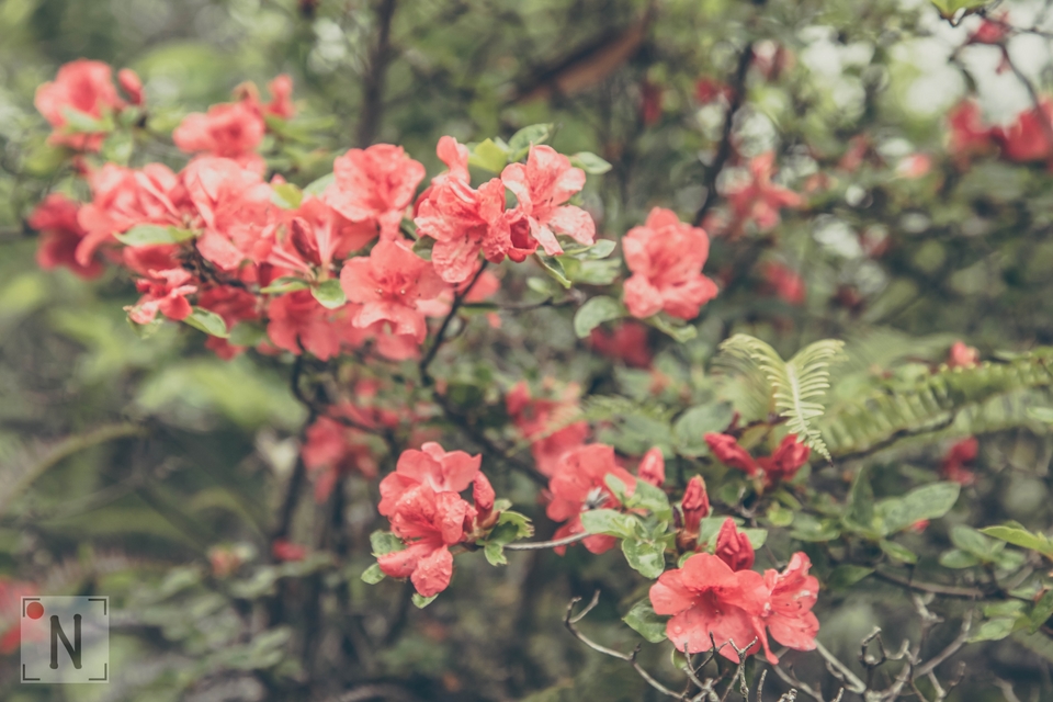 QG8A0416 (Kopiowanie)