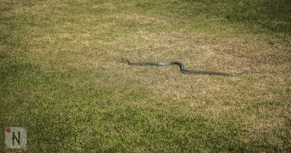 QG8A0718 (Kopiowanie)