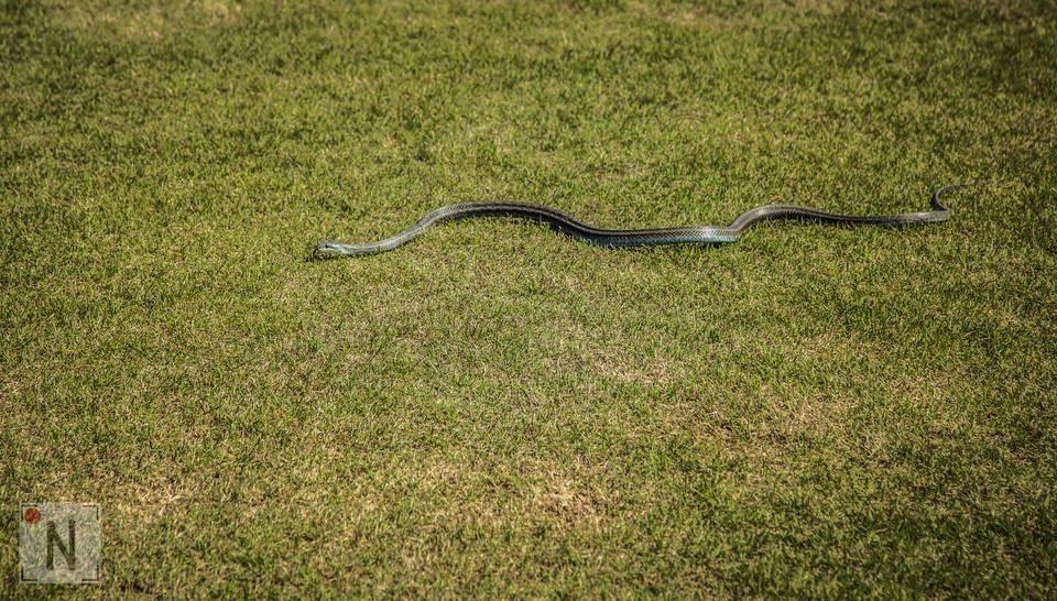 QG8A0724 (Kopiowanie)