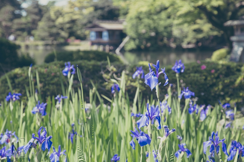 QG8A0748 (Kopiowanie)