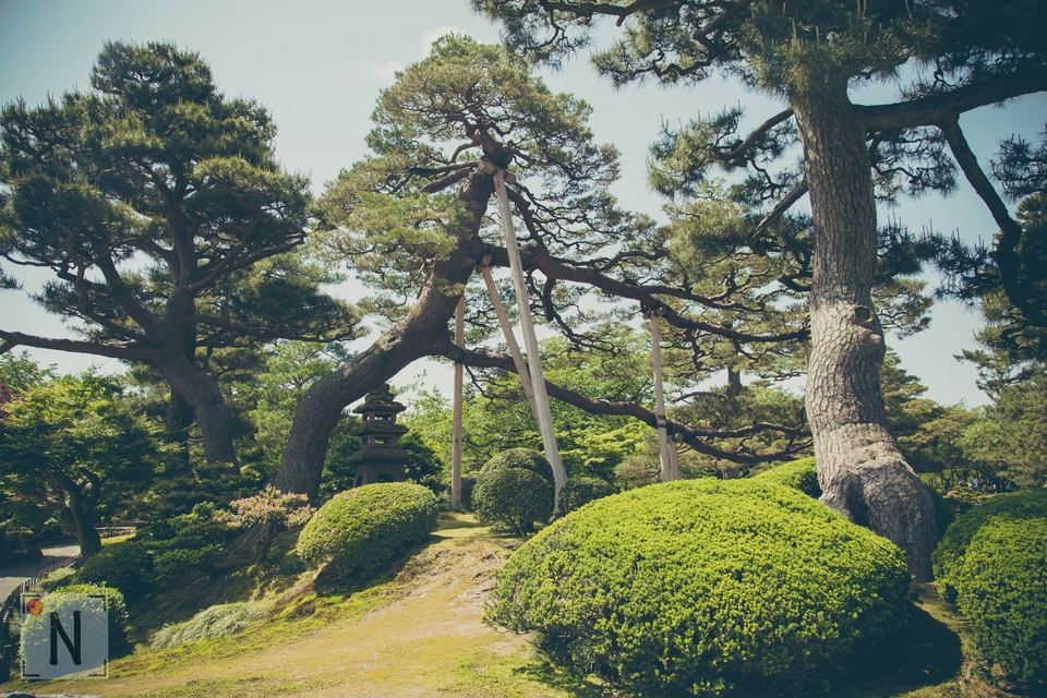 QG8A0755 (Kopiowanie)