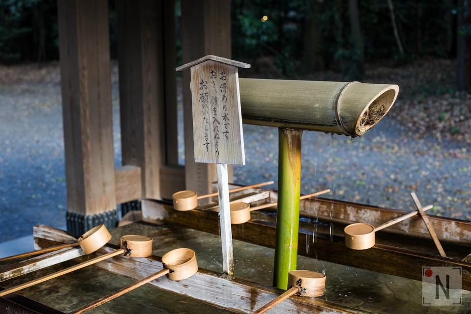 QG8A9300 (Kopiowanie)