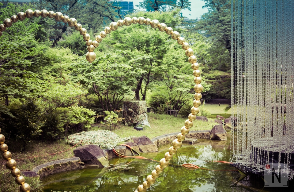 QG8A9455 (Kopiowanie)