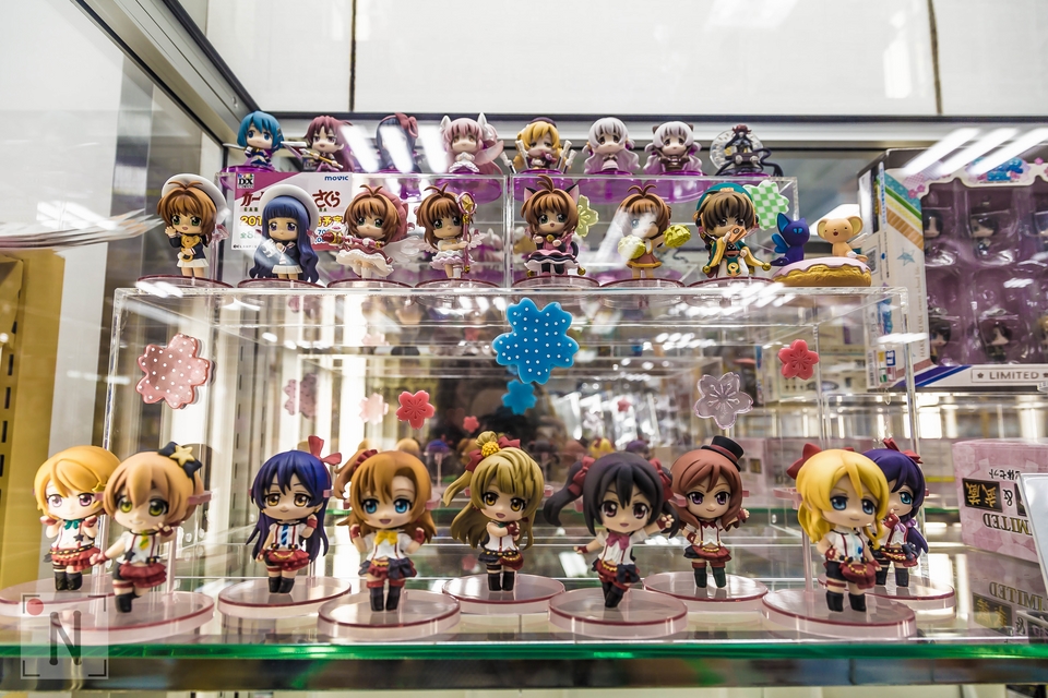 QG8A9503 (Kopiowanie)