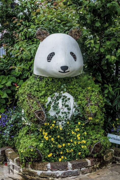 QG8A9720 (Kopiowanie)