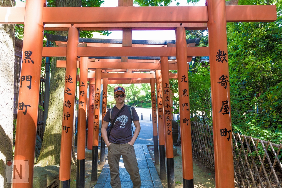 QG8A9783 (Kopiowanie)