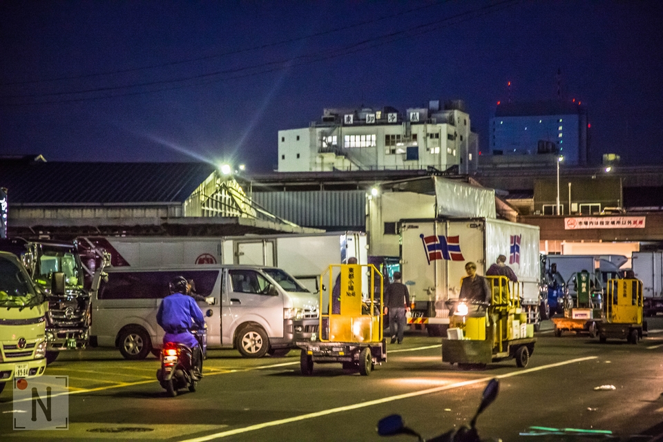 Tsukiji-1089 (Kopiowanie)