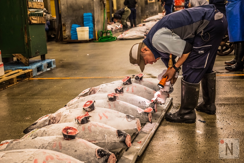 Tsukiji-1333 (Kopiowanie)