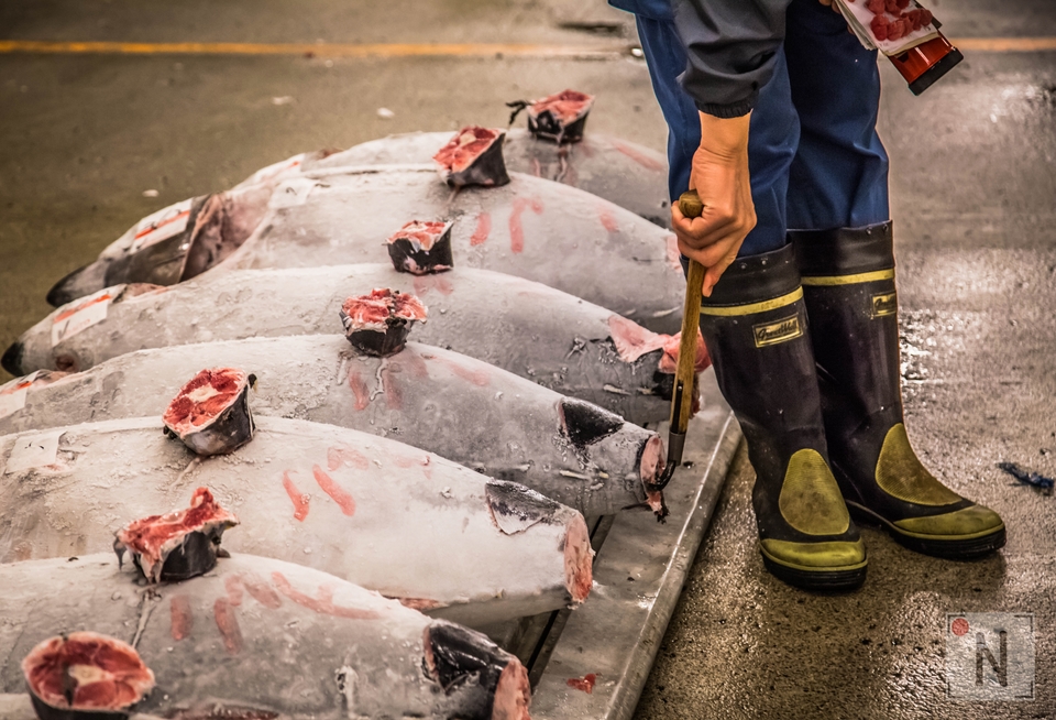 Tsukiji-1348 (Kopiowanie)
