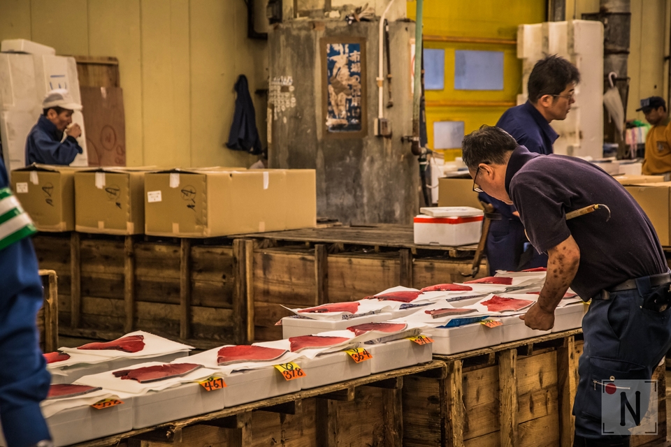 Tsukiji-1387 (Kopiowanie)