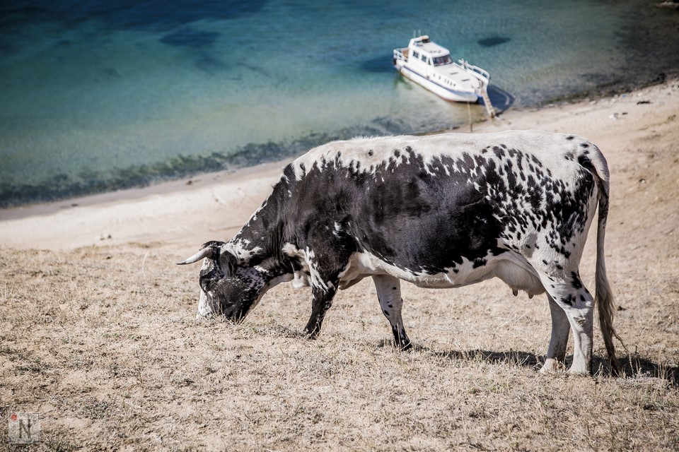 Wyspa Olchon-2642 (Kopiowanie)